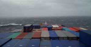 pontoporos_nautilia_