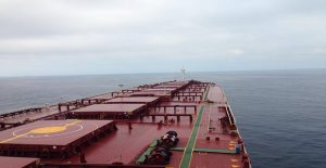 pontoporos_nautilia_