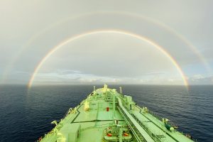 pontoporos_nautilia_