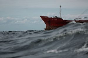 pontoporos_nautilia_