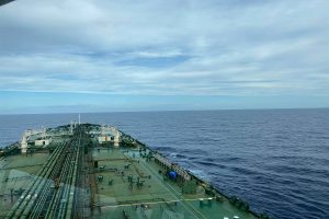 pontoporos_nautilia_-5