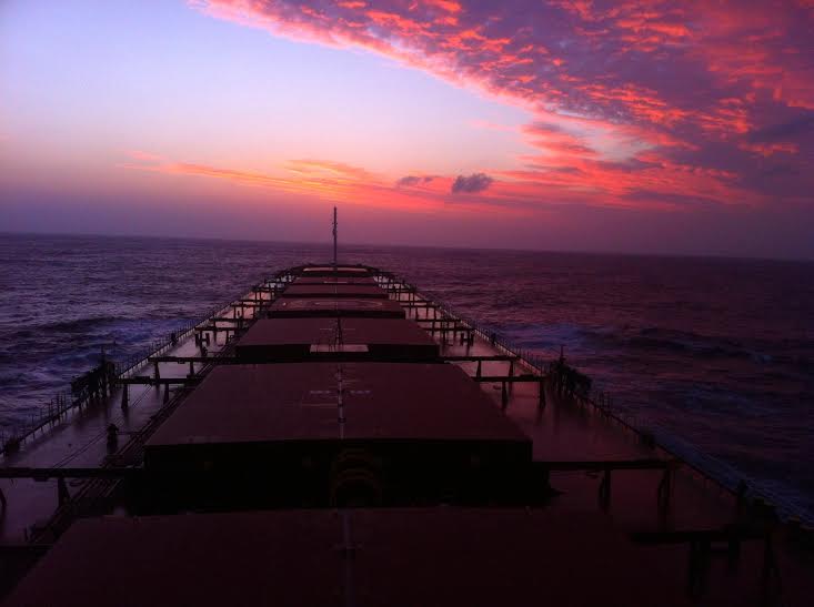 pontoporos_nautilia_