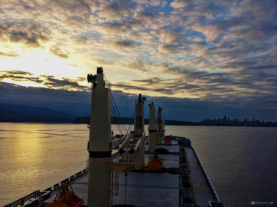 pontoporos_nautilia_