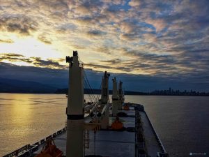 pontoporos_nautilia_1