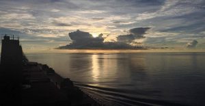 pontoporos_nautilia_1