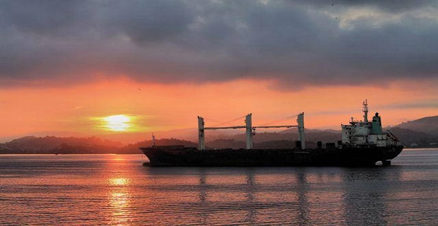 pontoporos_nautilia_