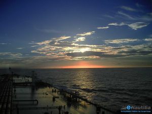 pontoporos_nautilia_1