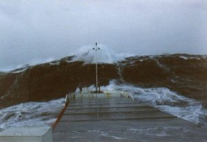 pontoporos_nautilia_2