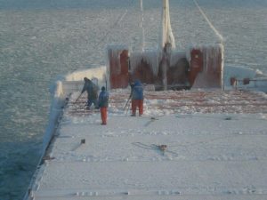 pontoporos_nautilia_2