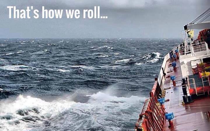 pontoporos_nautilia_