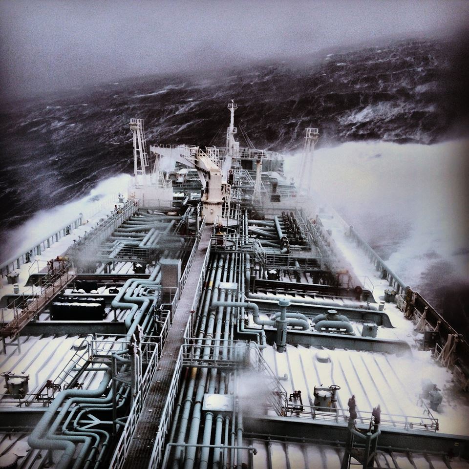 pontoporos_nautilia_