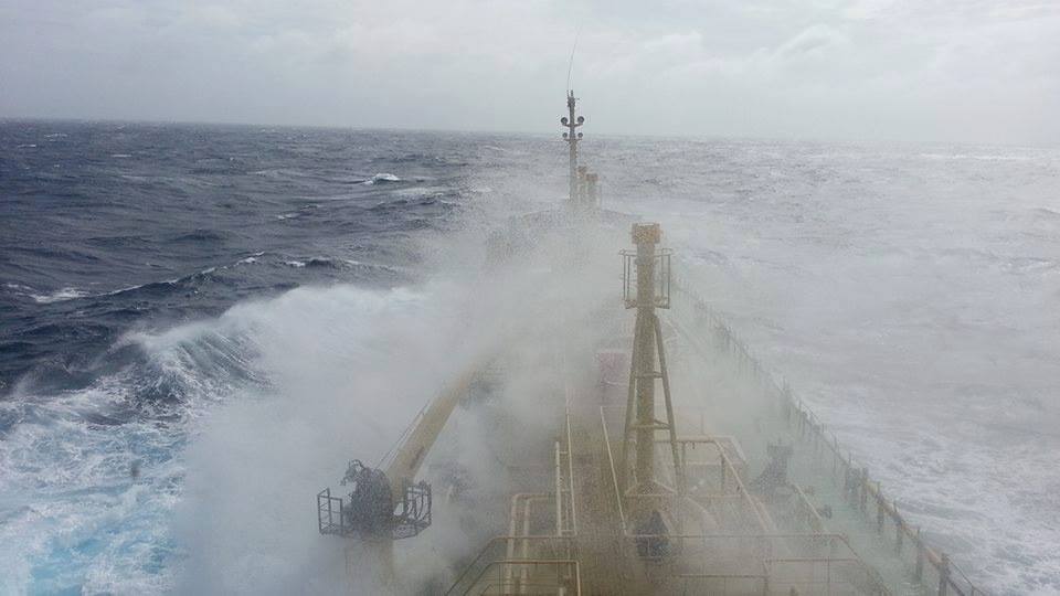 pontoporos_nautilia_