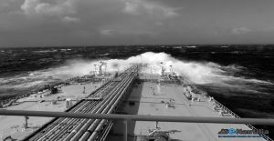 pontoporos_nautilia_61