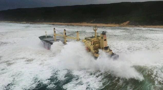 pontoporos_nautilia_