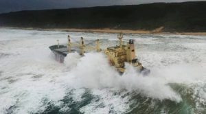 pontoporos_nautilia_7