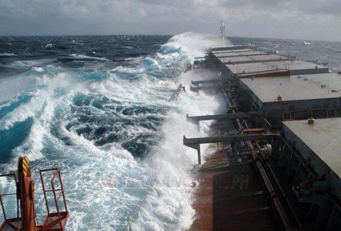 pontoporos_nautilia_