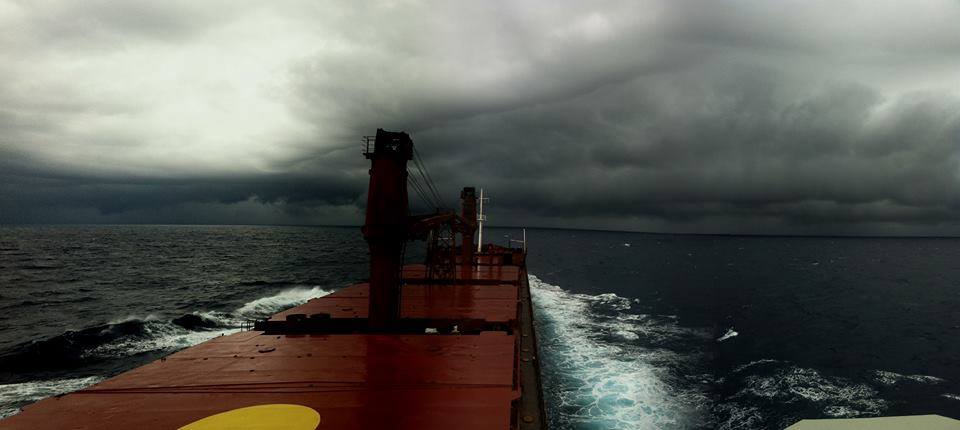 pontoporos_nautilia_