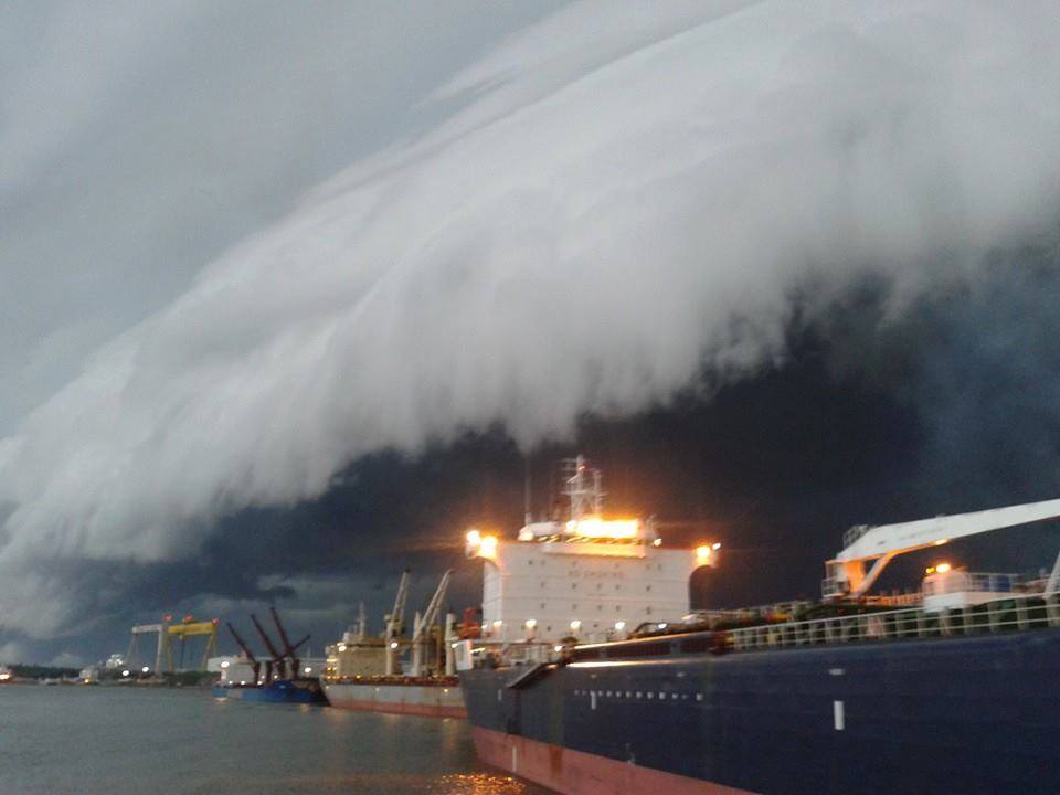 pontoporos_nautilia__