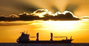 pontoporos_nautilia_eisigimenes_