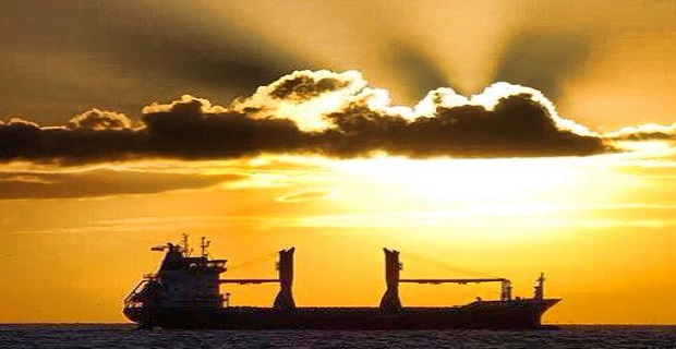 pontoporos_nautilia_eisigimenes_