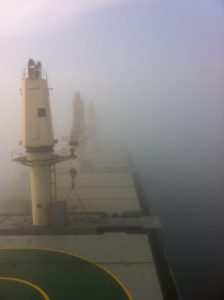 pontoporos_nautilia_fog_