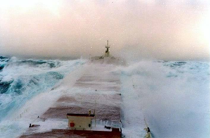 pontoporos_nautilia_storm_