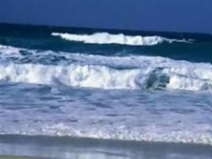 prosaraksh-2Bforthghdas