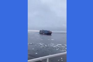 prosaraksh_container