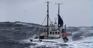 Italy Cruise Aground