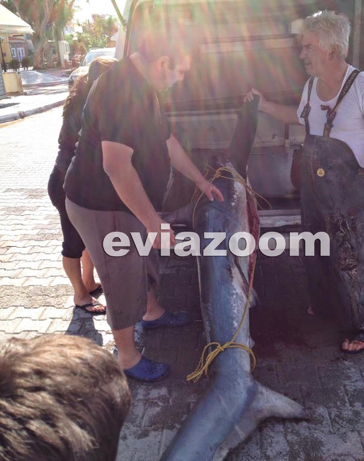 psarepsan_skilopsaro_