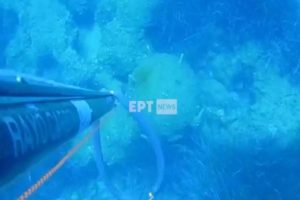 psarontoufekas-1200x701-1