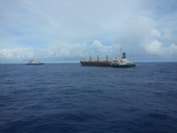 rich_forest_egkataleleimmeno_ston_eirhniko__