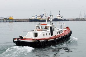 ÍÁÕÁÃÉÏ ÑÕÌÏÕËÊÏÕ. ËÉÌÁÍÉ.