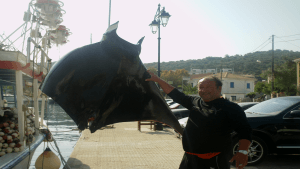 salaxi-200-kilwn-sth-leukada