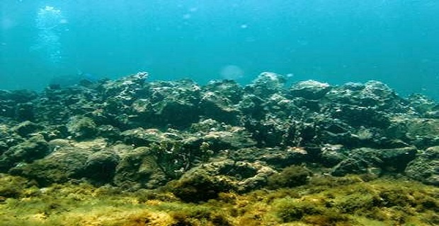 santa_maria_kolombos_ship__