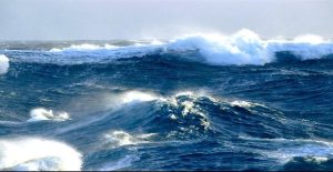 sea_storm_nautilia_