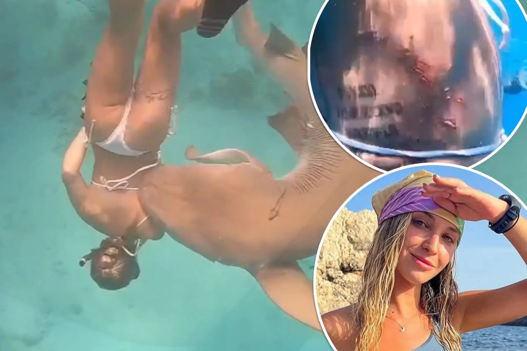 Μαλδίβες: Καρχαρίας 100 κιλών δάγκωσε κολυμβήτρια (video)