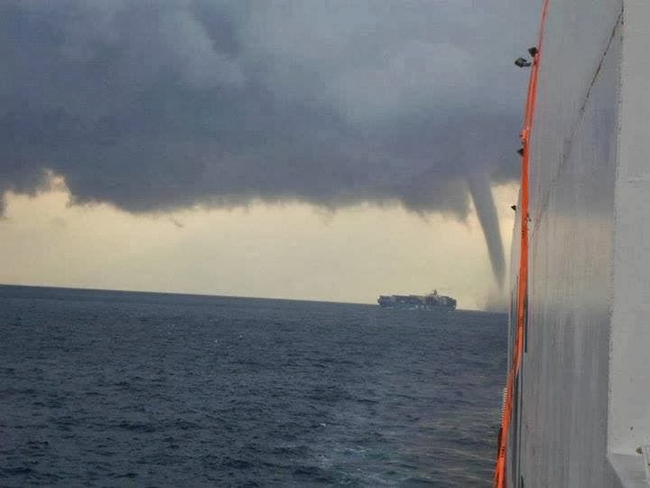 Έχετε δει ποτέ κάτι τέτοιο;