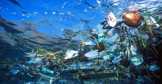 5 τόνοι απορριμμάτων ανασύρθηκαν από τις Eλληνικές θάλλασες