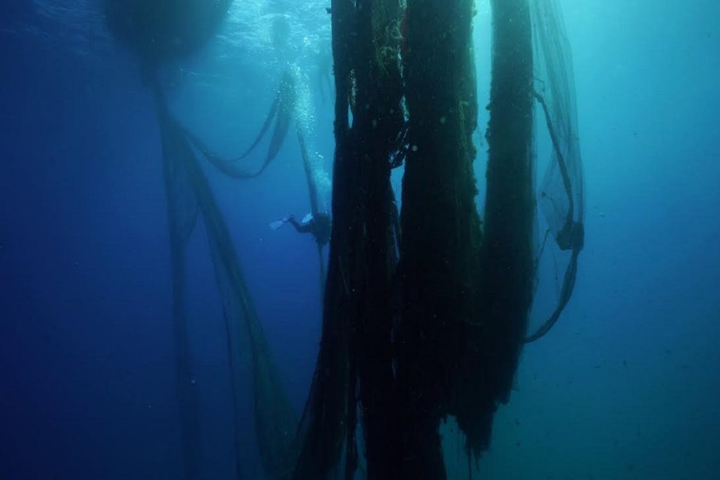 Η BlueCycle υποψήφια για το Earthshot Prize 2022