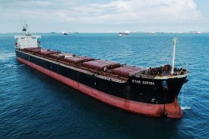 star_bulk_