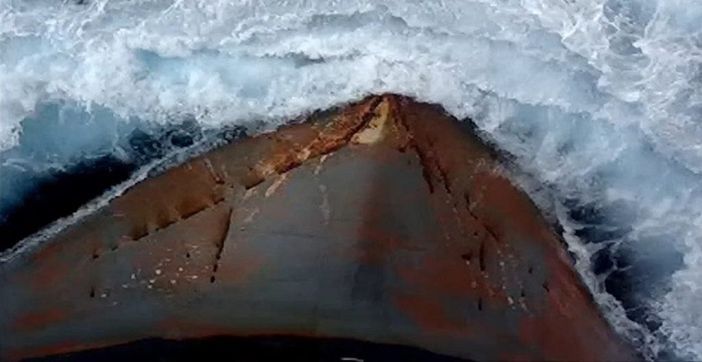 Πλώρα στην «μπάλα» του πλοίου παρέα με τα δελφίνια... (Video)