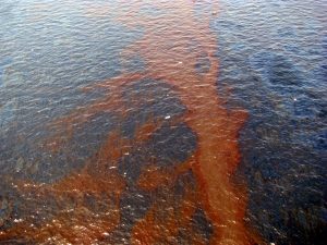 sullhpsh-kapetaniou-gia-thalassia-rupansh