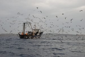 sullipsi_kuberniti_a_k_skafous_