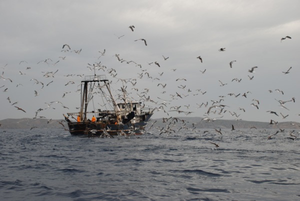 sullipsi_kuberniti_a_k_skafous_