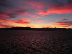 ta-nautiliaka-paramuthia