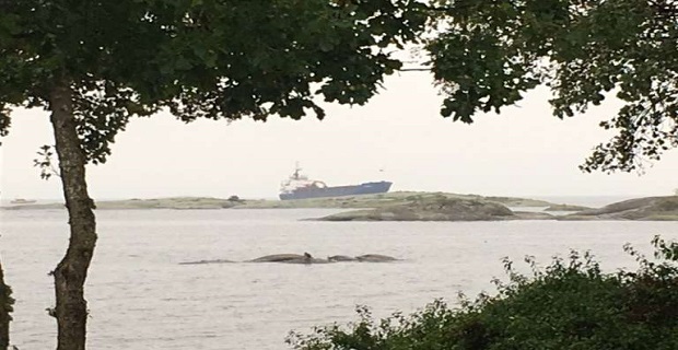 ΑΠΙΣΤΕΥΤΟ: Πλοίο προσάραξε όταν ο Ρώσος καπετάνιος και ο ανθυποπλοίαρχος μέθυσαν και τους πήρε ο ύπνος!