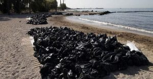 thalassia_rupansi_-2