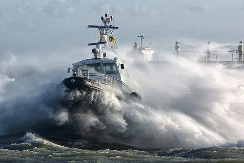 Φωτογραφία ημέρας - Life at sea...