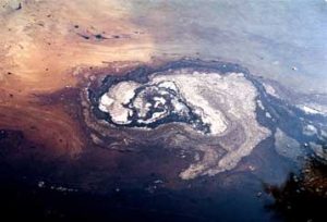 to-buikcarrier-widar-prokalese-thalassia-rupansh